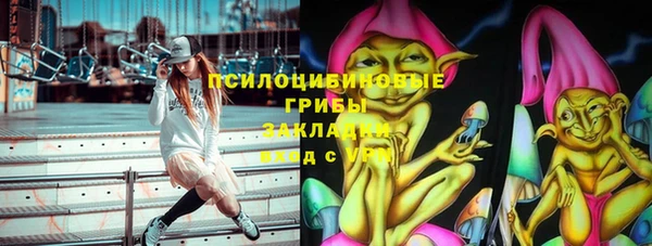 крисы Белоозёрский