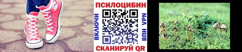 Псилоцибиновые грибы прущие грибы  Шумиха 